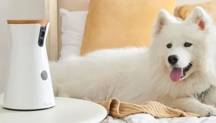Furbo dog camera - розумна камера для собак з функцією прикорму (камера) Furbo dog camera - розумна камера для собак з функцією прикорму