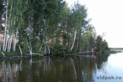 Де краще ловити рибу на незнайомій водоймі (водоймі) Де краще ловити рибу на незнайомій водоймі