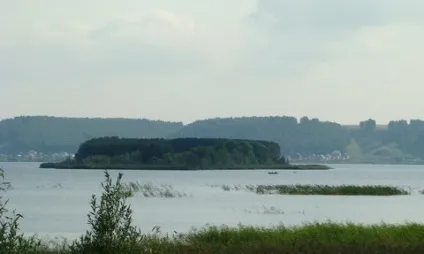 Де і як шукати коропа