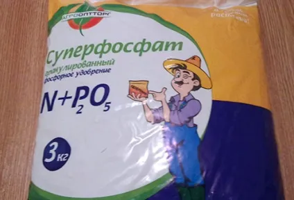 Георгіна однорічна