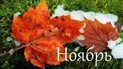 Гороскоп на листопад 2017 року для всіх знаків зодіаку (зодіаку) Гороскоп на листопад 2017 року для всіх знаків зодіаку