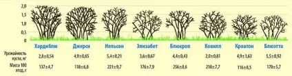 Лохина вирощування з насіння - детальна інформація! (Вирощування) Лохина вирощування з насіння - детальна інформація!