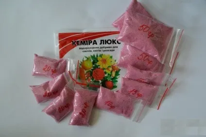 Лохина вирощування з насіння - детальна інформація! (Після цього можна) Лохина вирощування з насіння - детальна інформація!