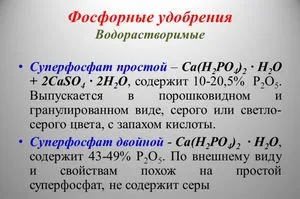 Інструкція по застосуванню суперфосфату в якості добрива (інструкція) Інструкція по застосуванню суперфосфату в якості добрива