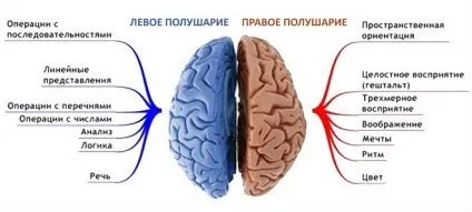 Інсульт права сторона наслідки, скільки живуть і способи профілактики (права) Інсульт права сторона наслідки, скільки живуть і способи профілактики