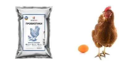 Інкубатори автоматичні в москві (інкубатори) Інкубатори автоматичні в москві