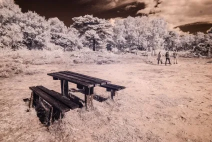 Інфрачервона цифрова камера своїми руками, блог про фотографію, команда