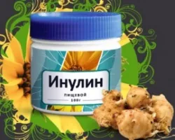Інулін інструкція із застосування, користь і шкода, відгуки (інулін) Інулін інструкція із застосування, користь і шкода, відгуки