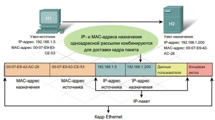 Ip-адреса (internet protocol address)
