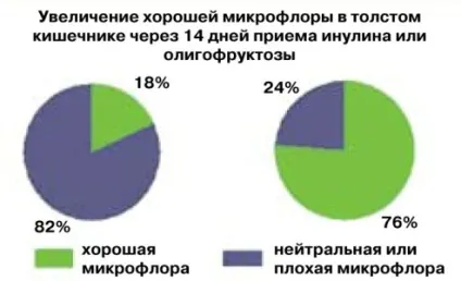 Інулін інструкція із застосування, користь і шкода, відгуки (користь) Інулін інструкція із застосування, користь і шкода, відгуки