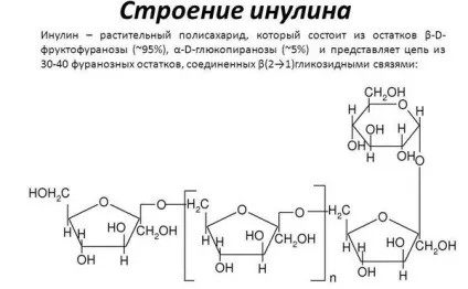 Інулін - рослинний пребиотик для природної турботи про здоров'я (пребиотик) Інулін - рослинний пребиотик для природної турботи про здоров'я