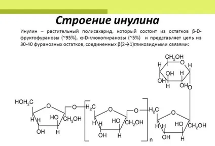 Інулін користь і шкода для організму (користь) Інулін користь і шкода для організму