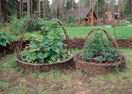 Цікаві варіанти грядок, ландшафтний дизайн (дача) Цікаві варіанти грядок, ландшафтний дизайн