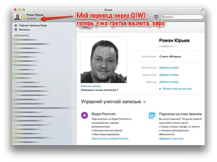 Історія про подвоєння платежу в skype за допомогою гаманця qiwi (qiwi) Історія про подвоєння платежу в skype за допомогою гаманця qiwi