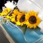 Липнева весілля ідеї вибору тематики, способу, квітів, фруктів, zатусім! (Вийти заміж в липні) Липнева весілля ідеї вибору тематики, способу, квітів, фруктів, zатусім!