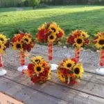 Липнева весілля ідеї вибору тематики, способу, квітів, фруктів, zатусім! (Як одягнутися в липні на весілля) Липнева весілля ідеї вибору тематики, способу, квітів, фруктів, zатусім!
