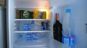 Які холодильники самі тихі і надійні (тихі) Які холодильники самі тихі і надійні