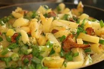 Як готується картопля з куркою і грибами в духовці пиріг, запіканка