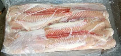 Як і де вирощують пангасіус (кінгкліп) Як і де вирощують пангасіус