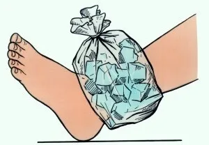 Укус гедзя симптоми, лікування (ґедзь укус фото симптоми що робити лікування як зняти набряк наслідки ніж помазати пухлина як захиститися) Укус гедзя симптоми, лікування
