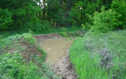 Зміцнення берегової лінії своїми руками, схеми і фото, садимо сад (зміцнення) Зміцнення берегової лінії своїми руками, схеми і фото, садимо сад
