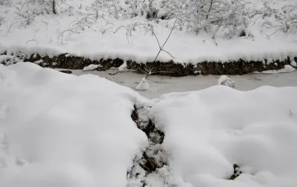 Зміцнення берегової лінії своїми руками, схеми і фото, садимо сад (зміцнення) Зміцнення берегової лінії своїми руками, схеми і фото, садимо сад
