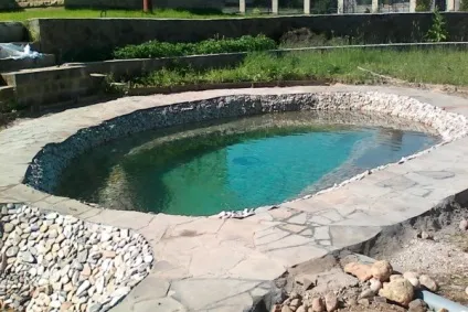 Зміцнення берега ставка на дачі - поради з облаштування берегів водойми (берегів) Зміцнення берега ставка на дачі - поради з облаштування берегів водойми