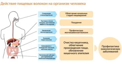 Як позбутися від калових каменів в кишечнику, очищення, симптоми (очищення) Як позбутися від калових каменів в кишечнику, очищення, симптоми