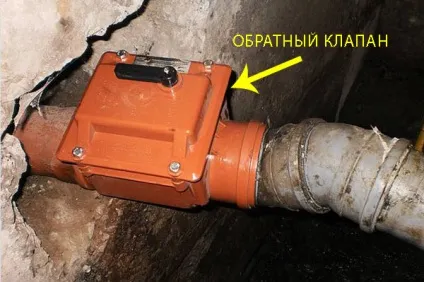 Як позбутися від опаришів, білих черв'яків в дачному туалеті своїми руками (як позбутися від опаришів в дачному туалеті) Як позбутися від опаришів, білих черв'яків в дачному туалеті своїми руками