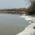 Як ловити виповзків - секрети і поради (кожушок) Як ловити виповзків - секрети і поради