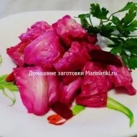 Як квасити капусту з опеньками (квасити) Як квасити капусту з опеньками