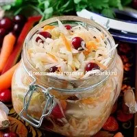 Як квасити капусту з опеньками (капусту) Як квасити капусту з опеньками
