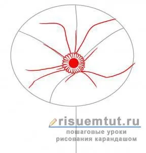 Як намалювати аленький квіточку олівцем поетапно - малюємо тут