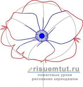 Як намалювати аленький квіточку олівцем поетапно - малюємо тут