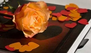 Як написати вірш у прозі, поради, знання, рішення (написати) Як написати вірш у прозі, поради, знання, рішення