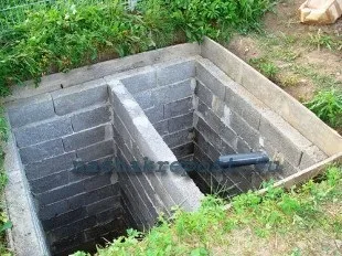 Як на дачі зробити слив