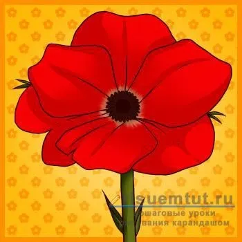 Як намалювати аленький квіточку олівцем поетапно - малюємо тут
