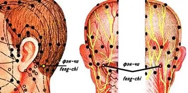 Як ми лікуємо інформаційні захворювання студопедія (студопедія) Як ми лікуємо інформаційні захворювання студопедія