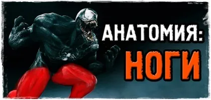 Як накачати м'язи ніг! Кращі поради! (М'язи) Як накачати м'язи ніг! Кращі поради!