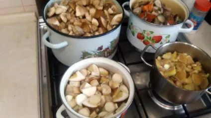 Як маринувати гриби в домашніх умовах з оцтом в банках на зиму, історії кохання (оцтом) Як маринувати гриби в домашніх умовах з оцтом в банках на зиму, історії кохання