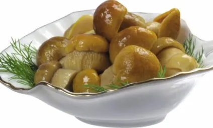 Як маринувати гриби в домашніх умовах з оцтом в банках на зиму, історії кохання (оцет) Як маринувати гриби в домашніх умовах з оцтом в банках на зиму, історії кохання