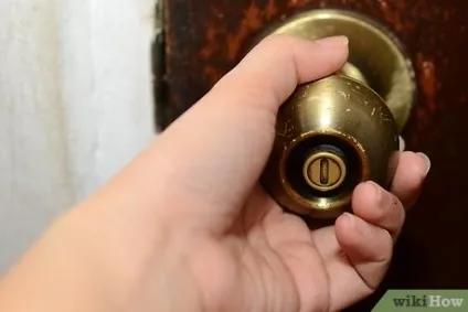 Як лікувати кота з застудою (інфекції верхніх дихальних) Як лікувати кота з застудою
