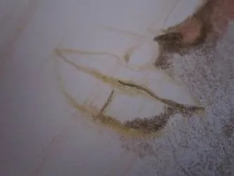 Як намалювати портрет кольоровими олівцями (намалювати) Як намалювати портрет кольоровими олівцями