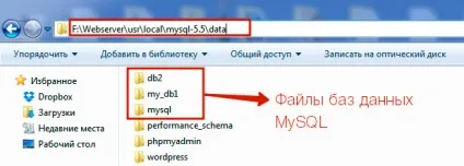 Як знайти папку, де зберігаються дані mysql на сервері і пк (дані) Як знайти папку, де зберігаються дані mysql на сервері і пк