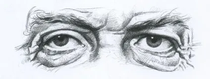 Як навчитися малювати портрети олівцем (олівцем) Як навчитися малювати портрети олівцем