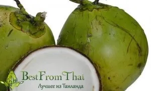 Як визначити якість кокосового масла, найкраще з Таїланду! (кокосова олія) Як визначити якість кокосового масла, найкраще з Таїланду!