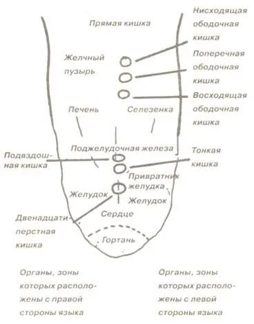 Як визначити хвороби станом мови (хвороби станом мови) Як визначити хвороби станом мови