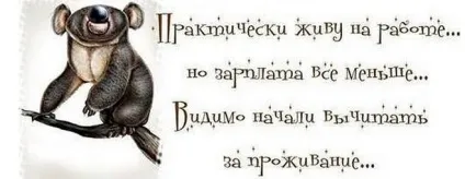 Як оригінально відповісти на питання живий (а) (гумор) Як оригінально відповісти на питання живий (а)