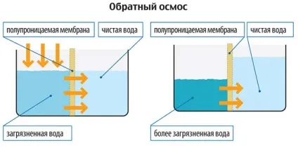 Як очистити воду зі свердловини від вапна і фільтр (очистити) Як очистити воду зі свердловини від вапна і фільтр
