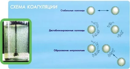 Як очистити воду зі свердловини від вапна і фільтр (очистити) Як очистити воду зі свердловини від вапна і фільтр